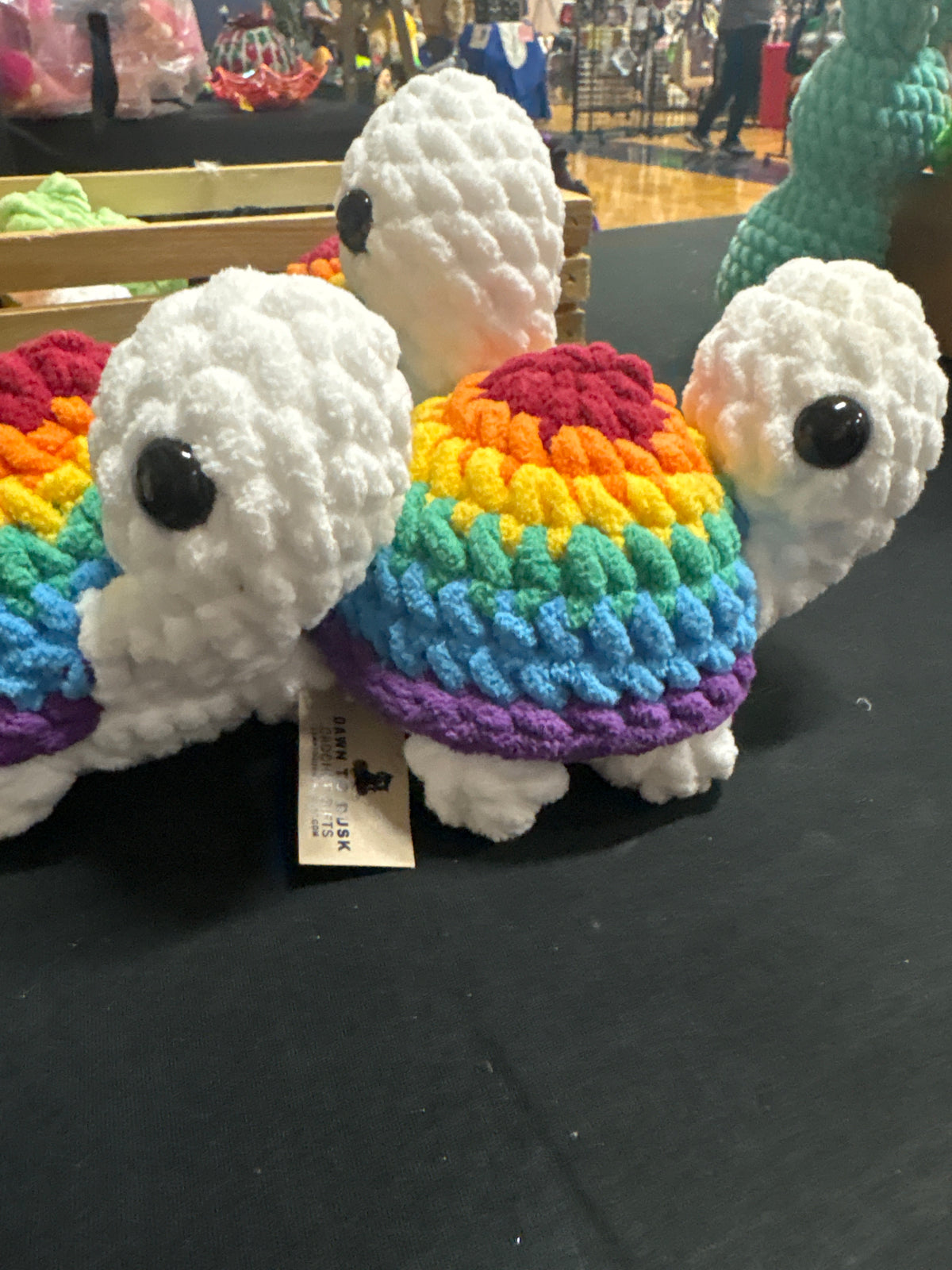 Rainbow Turtle