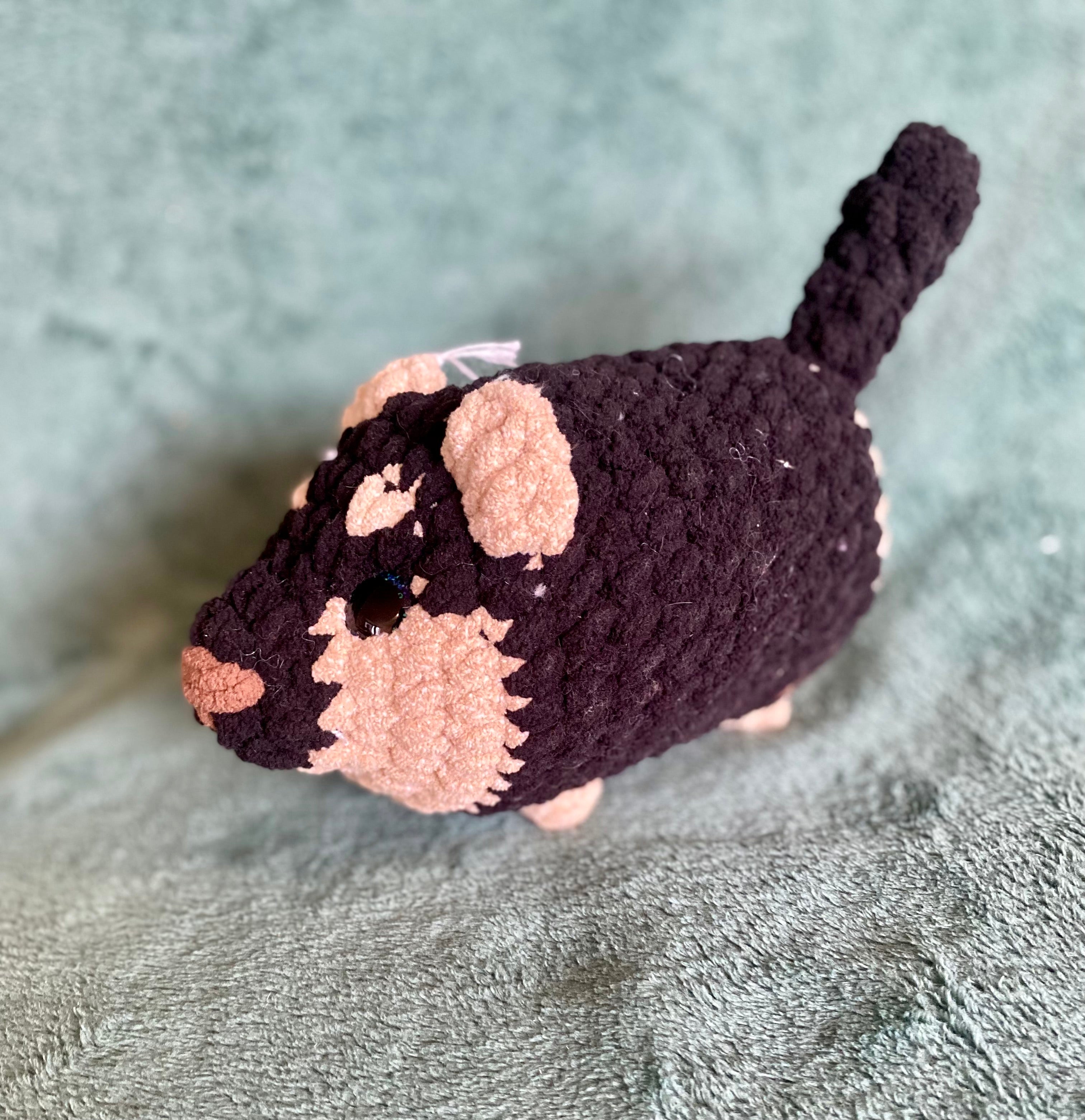 Black Puppy
