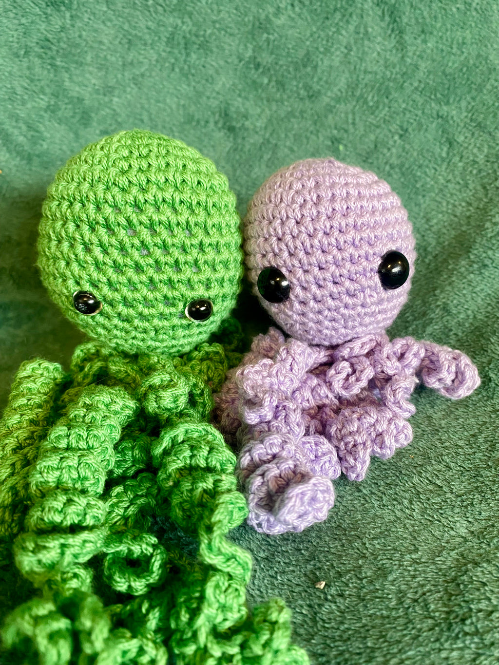 Curly Legged Octopus