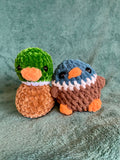 mallard duck