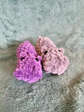 mini hippos
