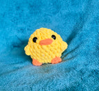 chicks