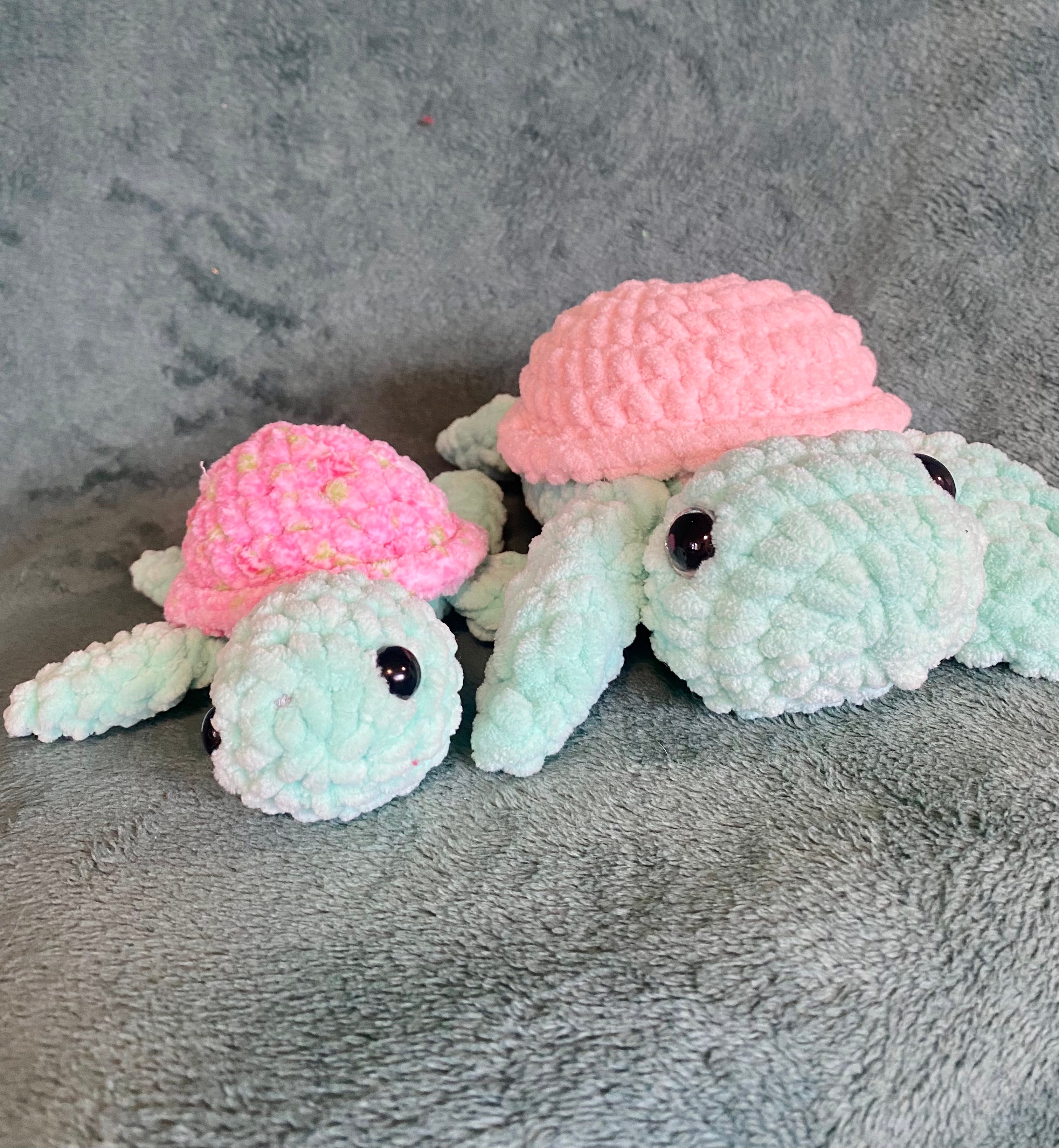 Medium Turtle