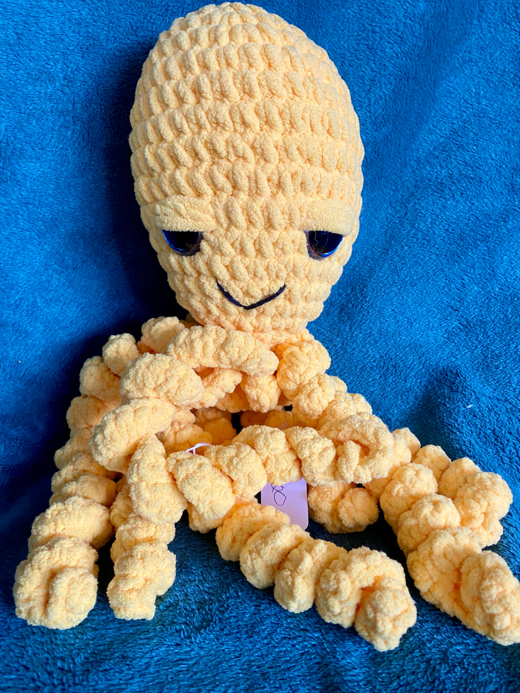 Curly Legged Octopus