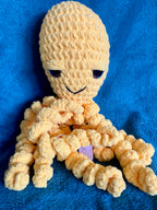 Curly Legged Octopus